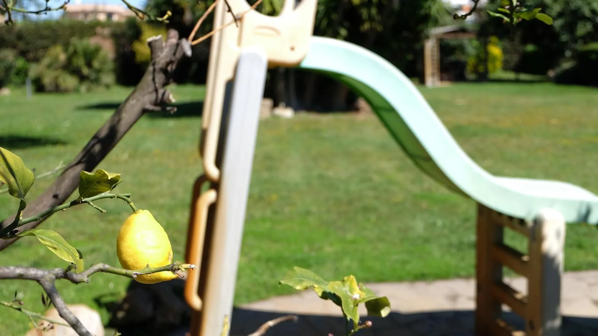 Appartamento Garden Basement - Seminterrato - Fiumicino Airport Italia
